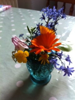 Flowers from the garden